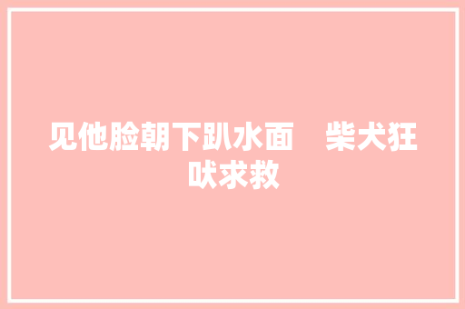 见他脸朝下趴水面　柴犬狂吠求救
