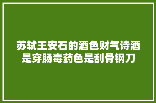 苏轼王安石的酒色财气诗酒是穿肠毒药色是刮骨钢刀