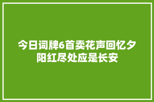 今日词牌6首卖花声回忆夕阳红尽处应是长安