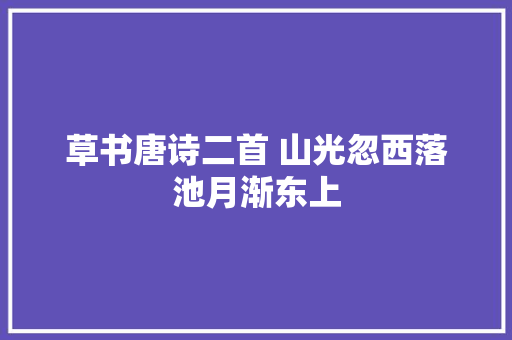 草书唐诗二首 山光忽西落池月渐东上