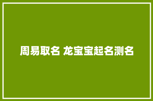周易取名 龙宝宝起名测名