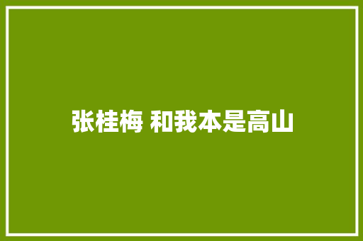 张桂梅 和我本是高山