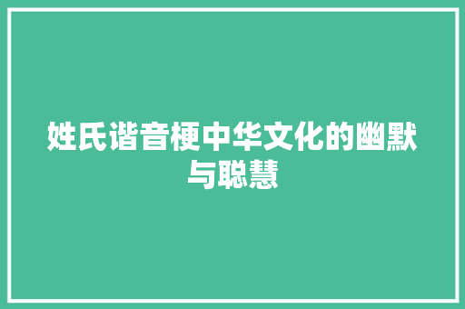 姓氏谐音梗中华文化的幽默与聪慧