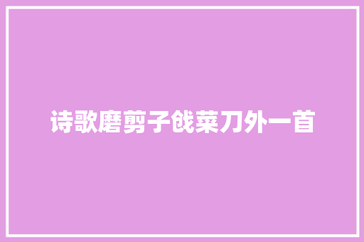 诗歌磨剪子戗菜刀外一首