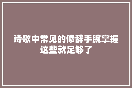 诗歌中常见的修辞手腕掌握这些就足够了