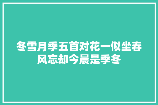 冬雪月季五首对花一似坐春风忘却今晨是季冬