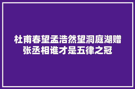 杜甫春望孟浩然望洞庭湖赠张丞相谁才是五律之冠