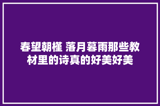 春望朝槿 落月暮雨那些教材里的诗真的好美好美
