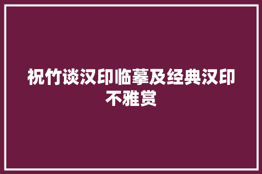 祝竹谈汉印临摹及经典汉印不雅赏