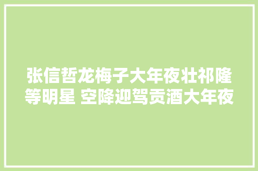 张信哲龙梅子大年夜壮祁隆等明星 空降迎驾贡酒大年夜丰群星演唱会