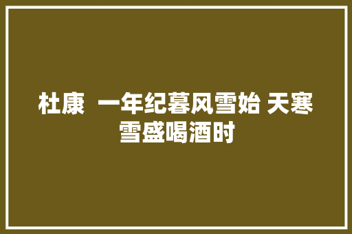 杜康  一年纪暮风雪始 天寒雪盛喝酒时