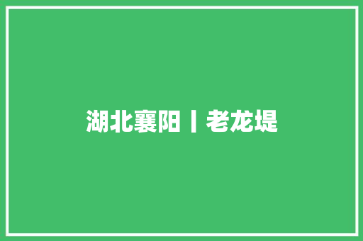湖北襄阳丨老龙堤
