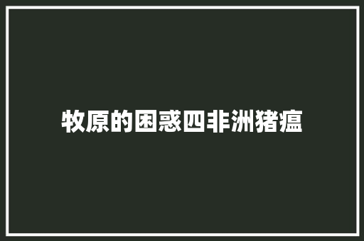 牧原的困惑四非洲猪瘟