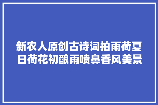 新农人原创古诗词拍雨荷夏日荷花初酿雨喷鼻香风美景正当时