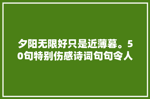 夕阳无限好只是近薄暮。50句特别伤感诗词句句令人泣如雨下