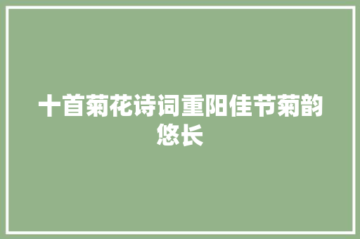 十首菊花诗词重阳佳节菊韵悠长