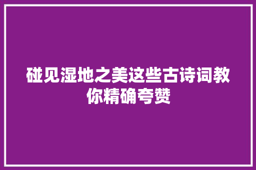 碰见湿地之美这些古诗词教你精确夸赞