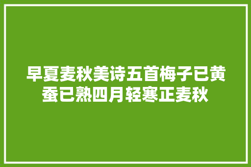 早夏麦秋美诗五首梅子已黄蚕已熟四月轻寒正麦秋