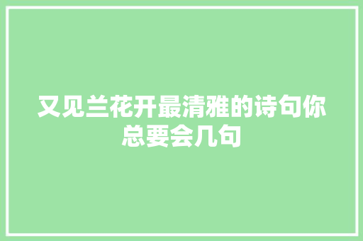 又见兰花开最清雅的诗句你总要会几句