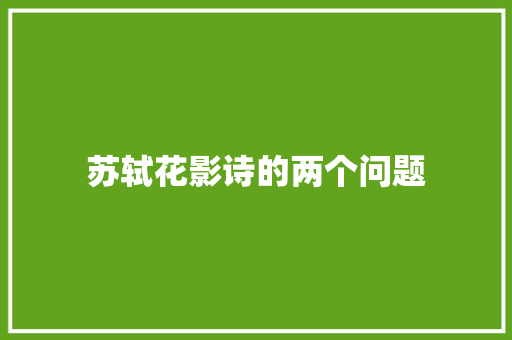 苏轼花影诗的两个问题