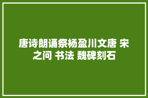 唐诗朗诵祭杨盈川文唐 宋之问 书法 魏碑刻石