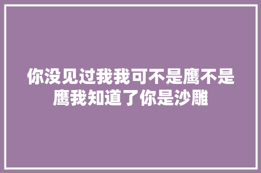 你没见过我我可不是鹰不是鹰我知道了你是沙雕