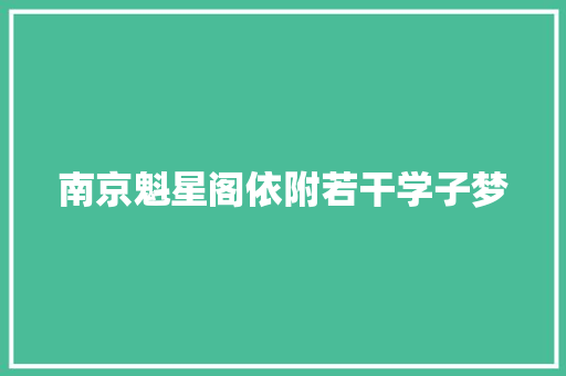 南京魁星阁依附若干学子梦