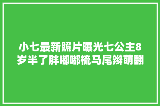 小七最新照片曝光七公主8岁半了胖嘟嘟梳马尾辫萌翻世人