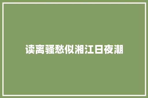读离骚愁似湘江日夜潮