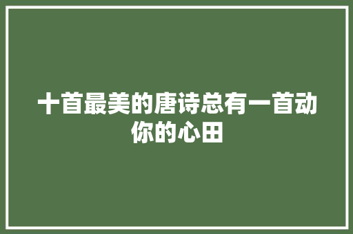 十首最美的唐诗总有一首动你的心田