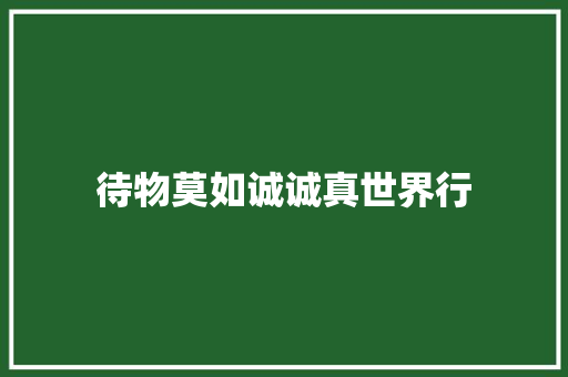 待物莫如诚诚真世界行