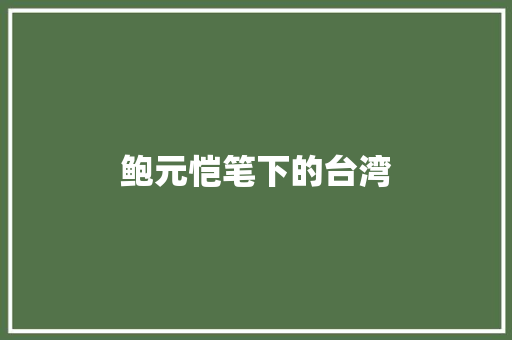 鲍元恺笔下的台湾