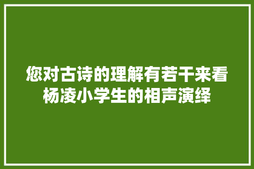 您对古诗的理解有若干来看杨凌小学生的相声演绎