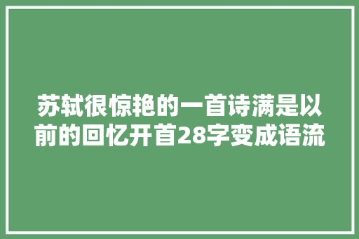 苏轼很惊艳的一首诗满是以前的回忆开首28字变成语流传1000年