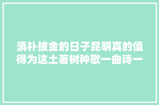 滇朴披金的日子昆明真的值得为这土著树种歌一曲诗一首