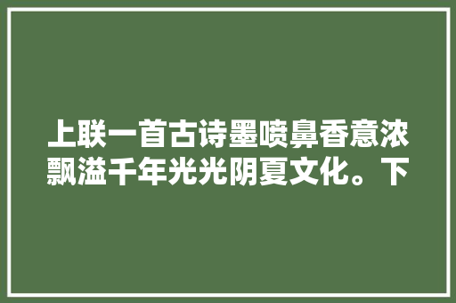 上联一首古诗墨喷鼻香意浓飘溢千年光光阴夏文化。下联请赐联