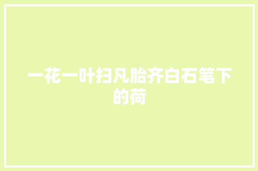 一花一叶扫凡胎齐白石笔下的荷