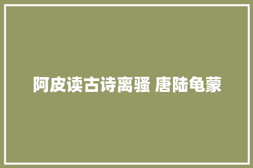 阿皮读古诗离骚 唐陆龟蒙