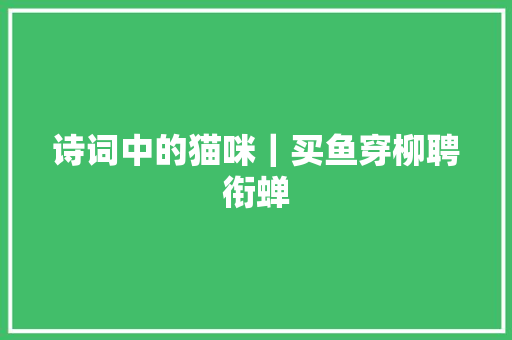 诗词中的猫咪｜买鱼穿柳聘衔蝉