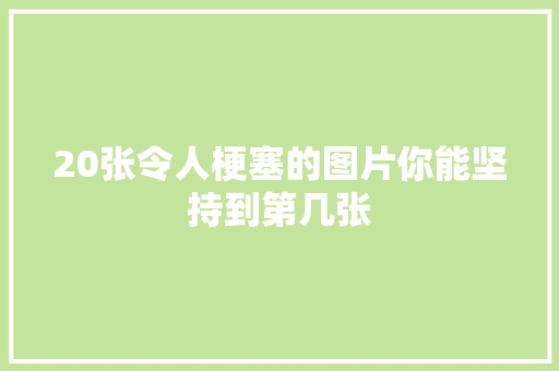 20张令人梗塞的图片你能坚持到第几张