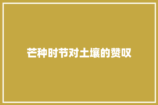 芒种时节对土壤的赞叹