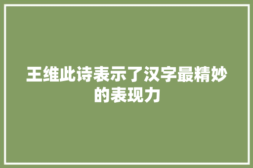 王维此诗表示了汉字最精妙的表现力