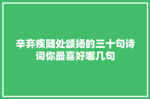 辛弃疾随处颂扬的三十句诗词你最喜好哪几句