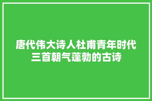 唐代伟大诗人杜甫青年时代三首朝气蓬勃的古诗