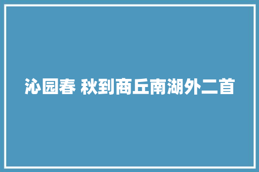 沁园春 秋到商丘南湖外二首