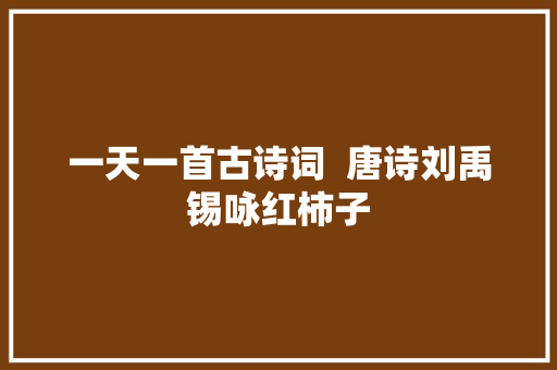 一天一首古诗词  唐诗刘禹锡咏红柿子
