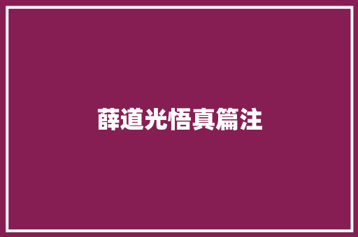 薛道光悟真篇注