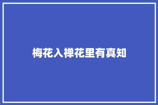 梅花入禅花里有真知