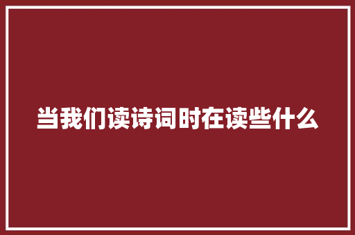 当我们读诗词时在读些什么