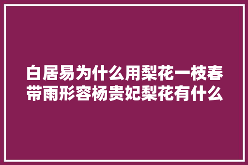 白居易为什么用梨花一枝春带雨形容杨贵妃梨花有什么寄意